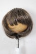 画像1: 8-9inch/ウィッグ A-26-05-12-268-NY-ZA (1)