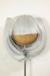 画像1: 9inch/DOLLCE製 ウィッグ A-26-05-26-316-NY-ZA (1)