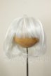 画像1: 8inch/ウィッグ A-26-06-08-197-NY-ZA (1)