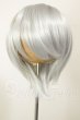 画像1: 8inch/ウィッグ A-26-06-08-289-NY-ZA (1)