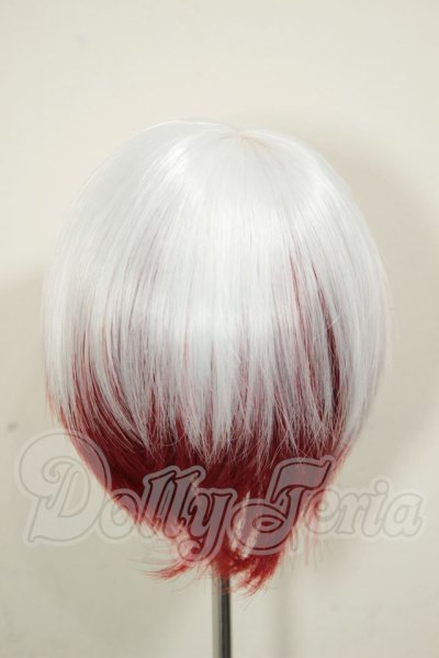画像2: 8-9inch/ウィッグ A-26-06-22-254-NY-ZA (2)