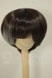 画像1: 8-9inch/ウィッグ A-26-07-06-317-NY-ZA (1)