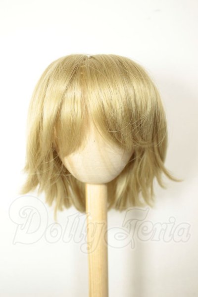 画像1: 9-10inch/ウィッグ A-26-07-20-334-NY-ZA (1)