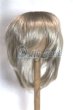 画像1: 7-8inch/ウィッグ/インチ　BJD　MJD　ドール用 A-26-08-10-047-NY-ZA (1)
