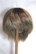画像1: 9-10inch/ウィッグ/インチ　BJD　MJD　ドール用 A-26-08-10-055-NY-ZA (1)