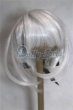 画像1: 8-9inch/ウィッグ/インチ　BJD　MJD　ドール用 A-26-08-10-042-NY-ZA (1)