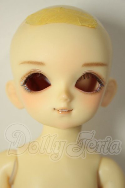 画像1: 幼SD/ゆき A-26-07-27-313-NY-ZA (1)