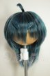 画像1: 8.5inch/ウィッグ A-26-08-03-234-NY-ZA (1)