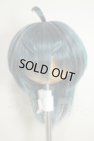 画像1: 8.5inch/ウィッグ A-26-08-03-234-NY-ZA (1)