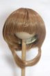 画像1: 9inch/ウィッグ/インチ　BJD　MJD　ドール用 A-26-09-14-082-NY-ZA (1)