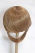 画像2: 9inch/ウィッグ/インチ　BJD　MJD　ドール用 A-26-09-14-082-NY-ZA (2)