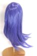 画像2: 9inch/ウィッグ/インチ　BJD　MJD　ドール用 A-26-09-14-096-NY-ZA (2)