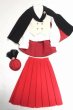 画像1: SD/ノスタルジックケープスタイル/1/3　60ｃｍ　BJD　MJD　衣装　ドール用 A-26-09-07-095-NY-ZA (1)