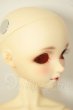 画像2: SDC/黒猫ルネ A-26-08-31-331-NY-ZA (2)