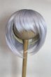 画像1: 8-9inch/ウィッグ/インチ　BJD　MJD　ドール用 A-26-09-21-070-NY-ZA (1)