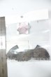 画像2: ウイングオブバット A-26-09-07-174-NY-ZA (2)