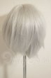 画像2: 8-9inch/ウィッグ A-26-09-21-342-NY-ZA (2)