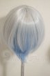 画像2: 8inch/ウィッグ A-26-09-21-391-NY-ZA (2)