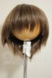 画像1: 9-10inch/ウィッグ A-26-09-21-163-NY-ZA (1)