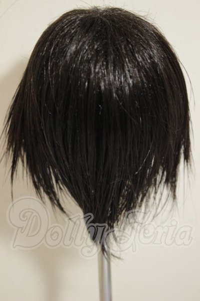 画像2: 9-10inch/ウィッグ A-26-09-21-176-NY-ZA (2)