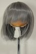 画像1: 6-7inch/ウィッグ A-26-10-05-165-NY-ZA (1)