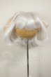 画像1: 8-9inch/ウィッグ A-26-10-05-220-NY-ZA (1)