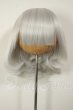 画像1: 8-9inch/ウィッグ A-26-10-05-228-NY-ZA (1)