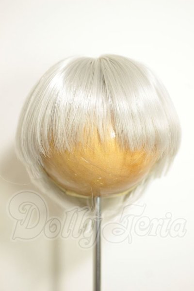 画像1: 8-9inch/ウィッグ A-26-10-12-359-NY-ZA (1)