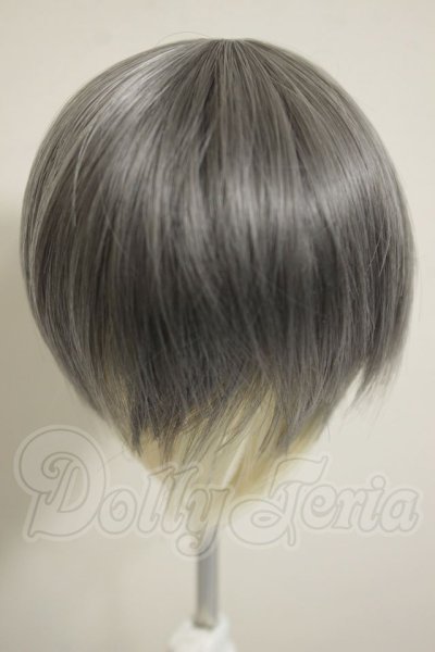 画像2: 7-8inch/ウィッグ A-26-10-12-398-NY-ZA (2)