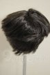 画像2: 8-9inch/ウィッグ A-26-10-19-248-TN-ZA (2)