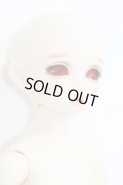 画像3: DearSD/キラ I-23-09-24-011-TO-ZI (3)