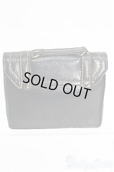 画像2: SD/OF:バッグ I-25-03-23-3141-KN-ZI (2)