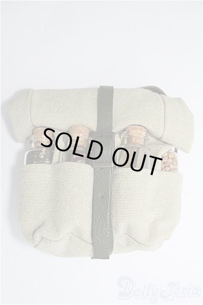 画像1: DD/OF：ディーラー様製採集バッグ I-25-02-02-3149-KN-ZI (1)