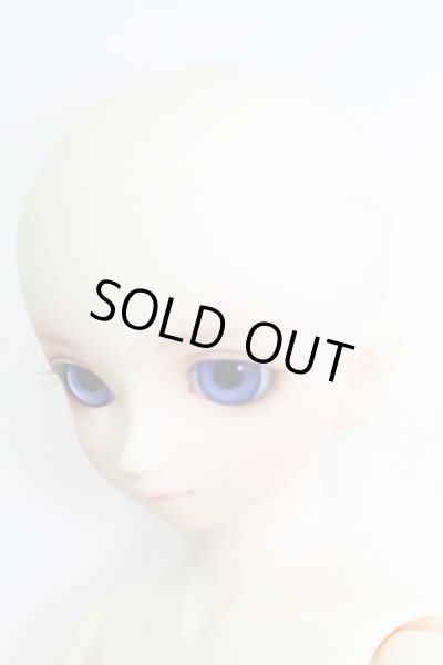 画像2: SDMGIRL/コーディネートモデル:F-96ヘッド I-23-10-01-003-TO-ZI (2)