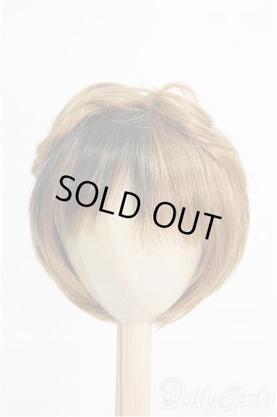 画像1: 9〜10inch/ウィッグ I-25-02-16-3028-TO-ZI (1)