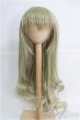 画像1: 9〜10inch/FANTASIC WORLD製ウィッグ：ロングカール I-25-02-23-2029-KN-ZI (1)