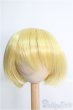画像1: 8〜9inch/ウィッグ:ショート I-25-02-23-2020-KN-ZI (1)