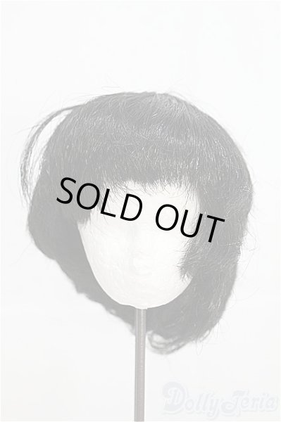 画像1: 12〜13inch/ウィッグ I-25-03-16-2030-TO-ZI (1)