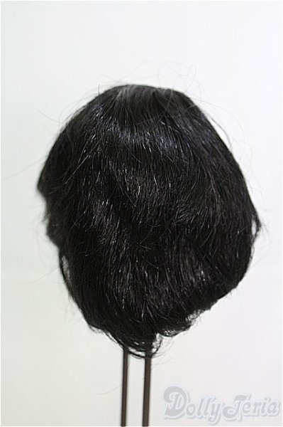 画像2: 12〜13inch/ウィッグ I-25-03-16-2030-TO-ZI (2)