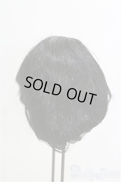 画像2: 12〜13inch/ウィッグ I-25-03-16-2030-TO-ZI (2)