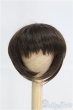 画像1: 7〜8inch/ウィッグ I-25-04-13-3019-TO-ZI (1)