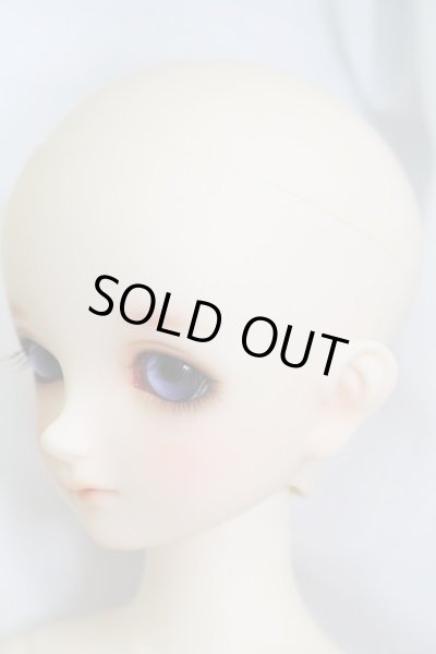 画像2: SDMGIRL/ひな:スタンダードモデル I-23-11-05-003-TO-ZI (2)