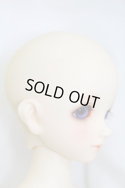 画像3: SDMGIRL/ひな:スタンダードモデル I-23-11-05-003-TO-ZI (3)