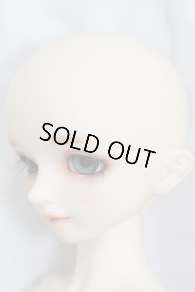 画像3: SDM/コーディネートモデル：F47 I-23-11-05-002-TO-ZI (3)