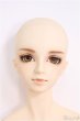 画像1: 【SALE】SDGrBOY/フルチョイス：F-40番ヘッド I-24-09-08-1003-TO-ZI (1)