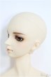 画像2: 【SALE】SDGrBOY/フルチョイス：F-40番ヘッド I-24-09-08-1003-TO-ZI (2)