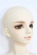 画像3: 【SALE】SDGrBOY/フルチョイス：F-40番ヘッド I-24-09-08-1003-TO-ZI (3)