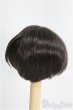 画像2: 6-7inch/ウィッグ I-25-04-06-3013-TO-ZI (2)