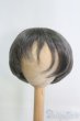 画像1: 9-10inch/ウィッグ I-25-04-27-3023-TO-ZI (1)