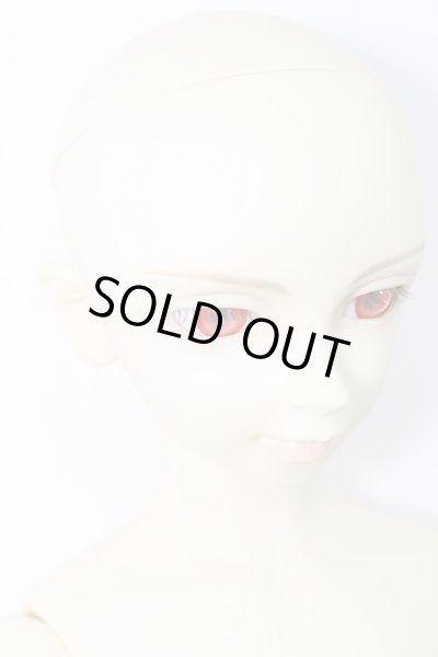 画像3: SD13BOY/フルチョイスF-17 I-23-11-12-007-TO-ZI (3)